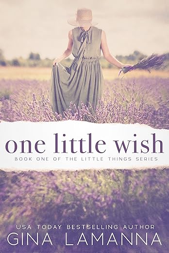 One Little Wish: a romantic suspense novel (The Little Things Mystery Series Book 1)