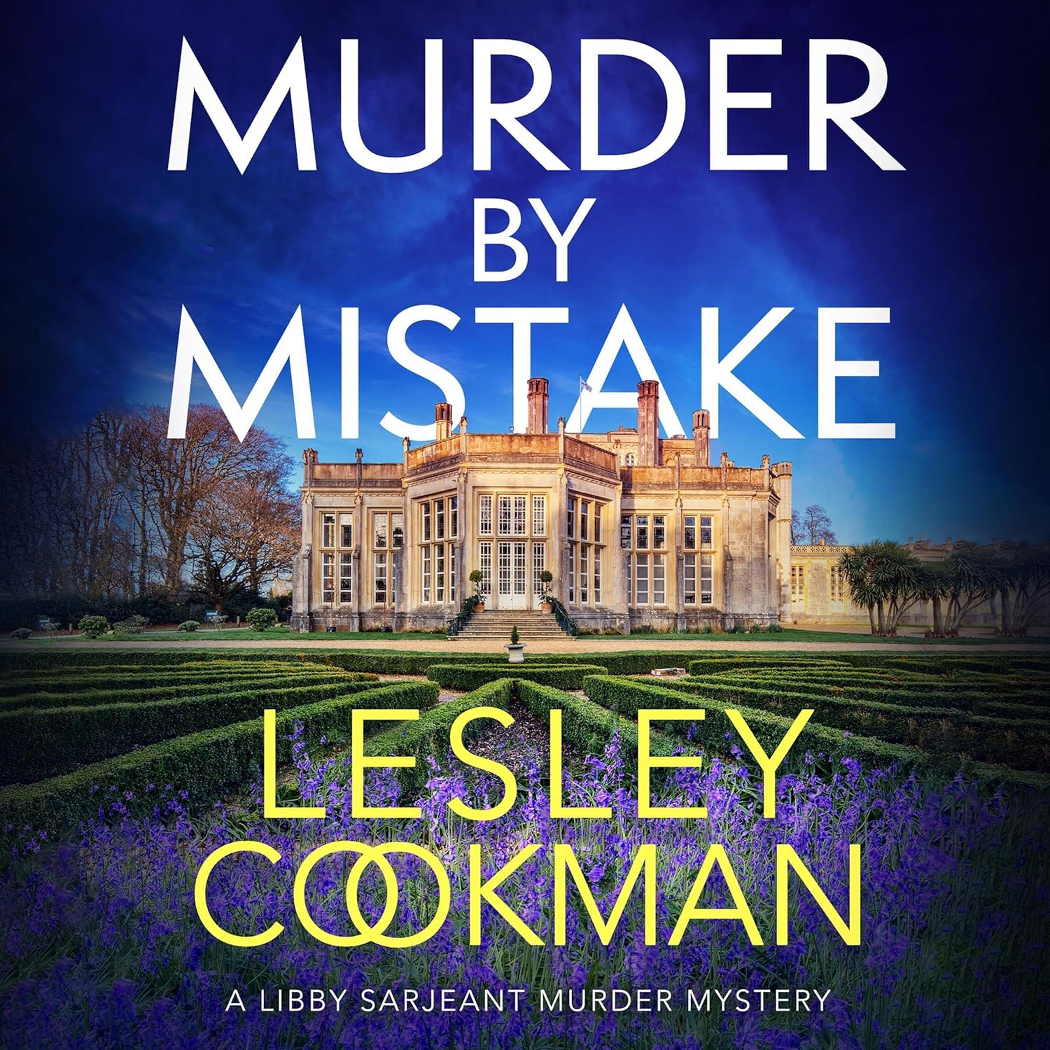 Murder by Mistake: Libby Sarjeant, Book 23