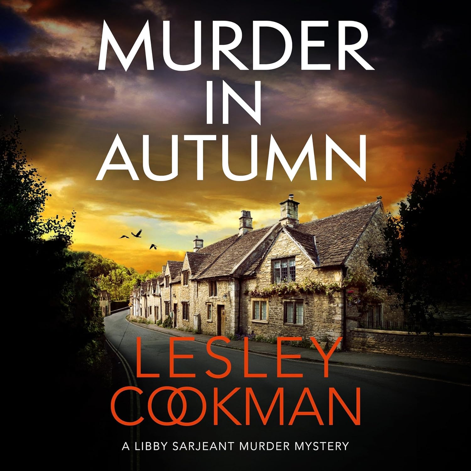Murder in Autumn: Libby Sarjeant, Book 24