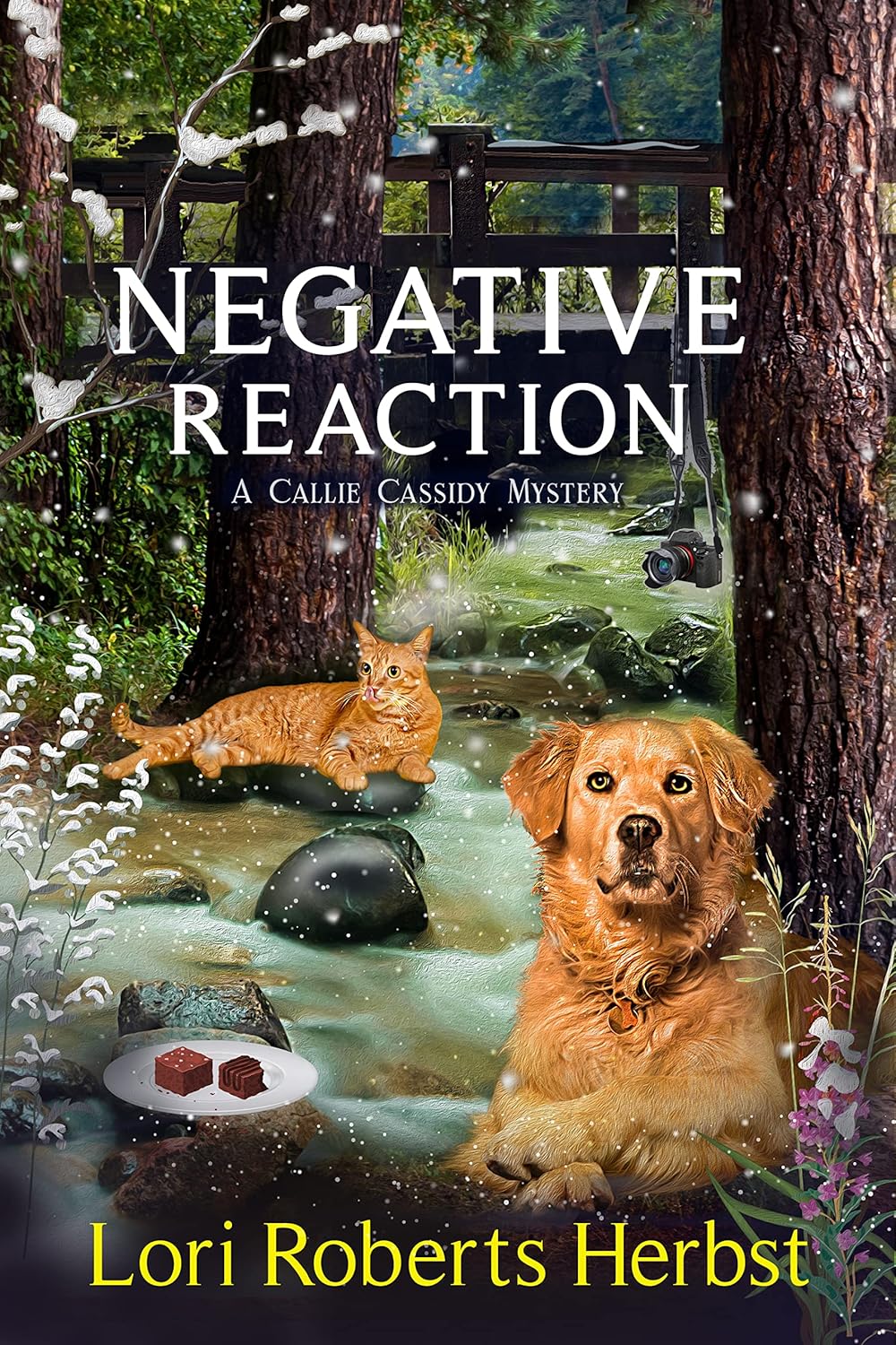 Negative Reaction: A Rock Creek Village Cozy Mystery (Callie Cassidy Mysteries Book 5)