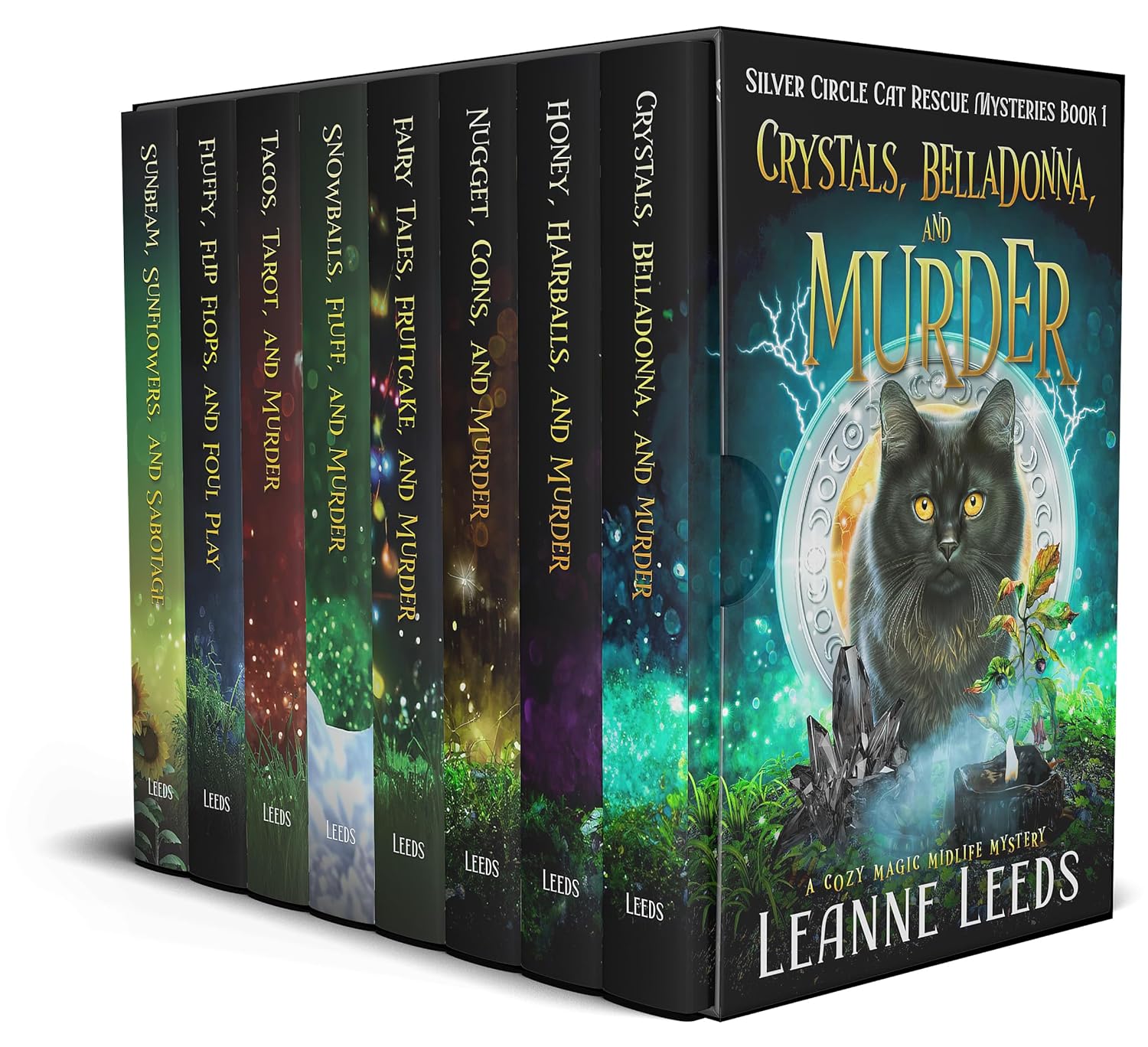 Silver Circle Cat Rescue Mysteries First Volume Box Set: First Books 1-8 (Leanne Leeds Paranormal Mystery Series 8-Book Boxsets)