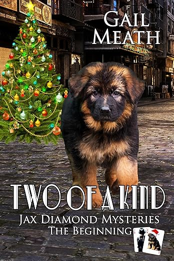 TWO OF A KIND: The Beginning (JAX DIAMOND MYSTERIES Book 4)